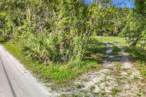 Villa ou maison à vendre à Zephyrhills, Floride: 2 chambres, 53.51 m2 № 2212364 - photo 11