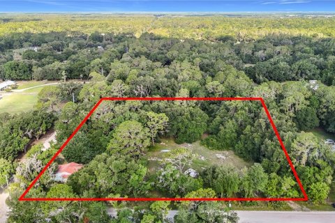 Villa ou maison à vendre à Zephyrhills, Floride: 2 chambres, 53.51 m2 № 2212364 - photo 9