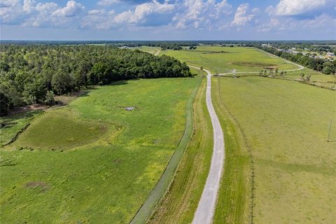 Terreno en venta en Lakeland, Florida № 1211375 - foto 24