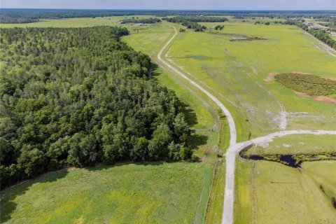 Terreno en venta en Lakeland, Florida № 1211375 - foto 23