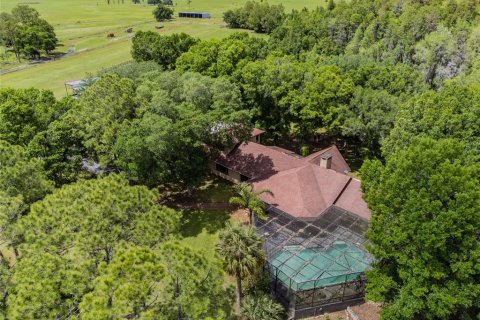 Terreno en venta en Lakeland, Florida № 1211375 - foto 19