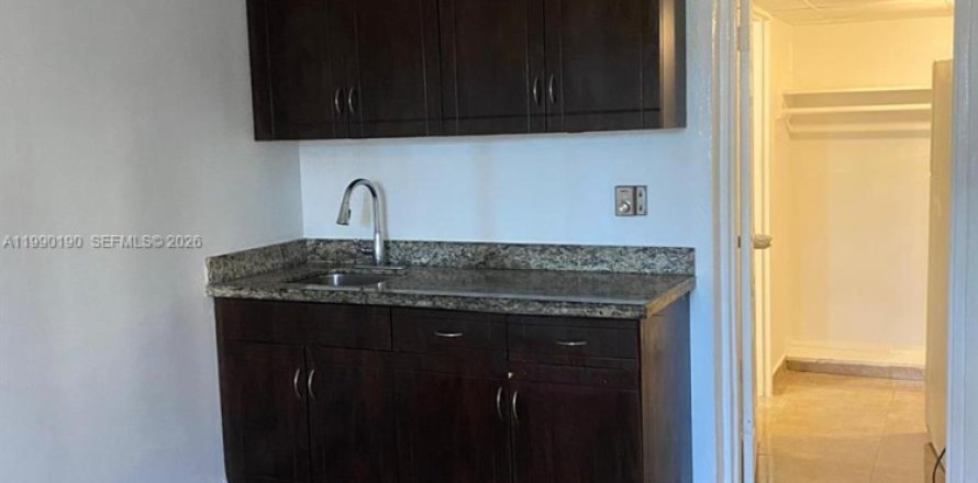 Propiedad comercial en Hallandale Beach, Florida 29.73 m2 № 2057679