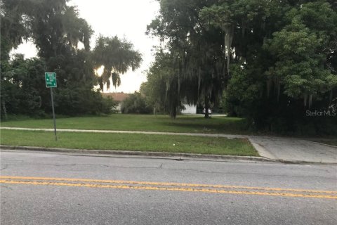 Commercial property in Tavares, Florida № 2298508