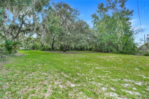 Terreno en venta en Leesburg, Florida № 1905003 - foto 1