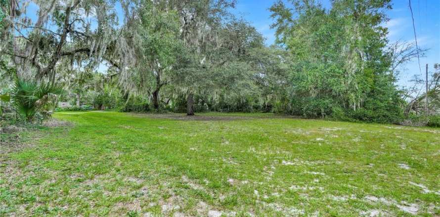 Terreno en Leesburg, Florida № 1905003