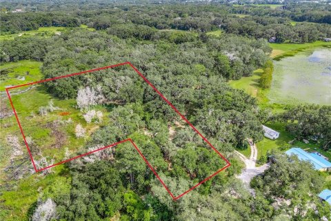 Terreno en venta en Leesburg, Florida № 1905003 - foto 6