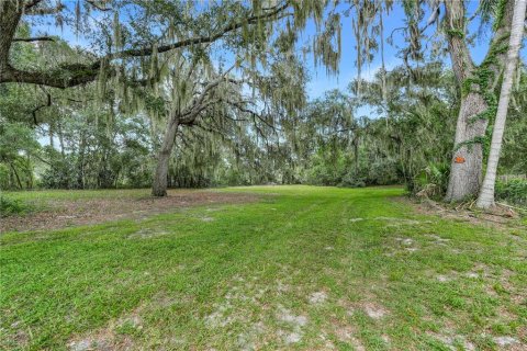 Terreno en venta en Leesburg, Florida № 1905003 - foto 2