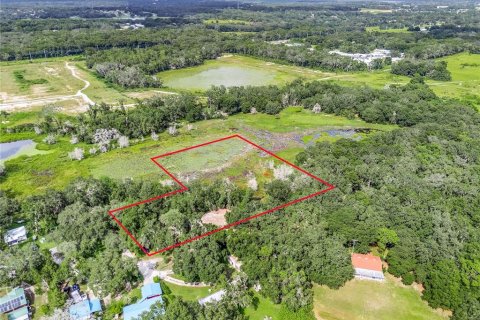 Terreno en venta en Leesburg, Florida № 1905003 - foto 9