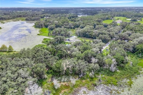 Terreno en venta en Leesburg, Florida № 1905003 - foto 5