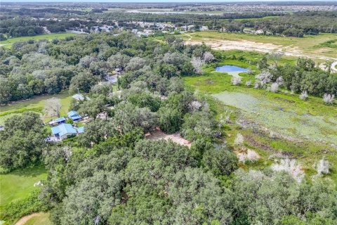 Terreno en venta en Leesburg, Florida № 1905003 - foto 4