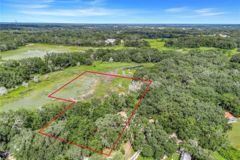 Terreno en venta en Leesburg, Florida № 1905003 - foto 8