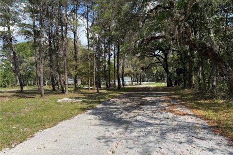 Terrain à vendre à Hernando, Floride № 2212653 - photo 4