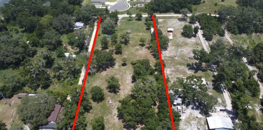 Land in Apopka, Florida № 1264110