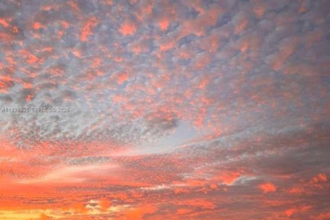 Copropriété à louer à Miami Beach, Floride: 2 chambres, 124.49 m2 № 1997074 - photo 13