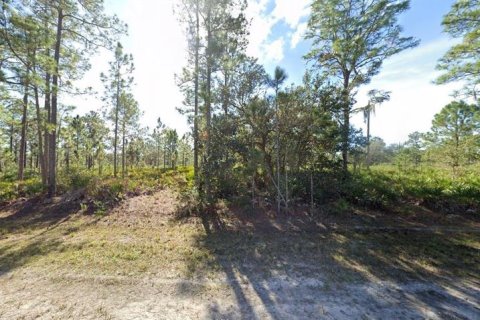 Land in Indian lake estates, Florida № 2162025 - photo 5