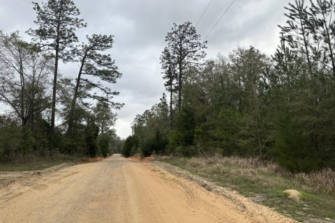 Land in Caryville, Florida № 589819 - photo 1