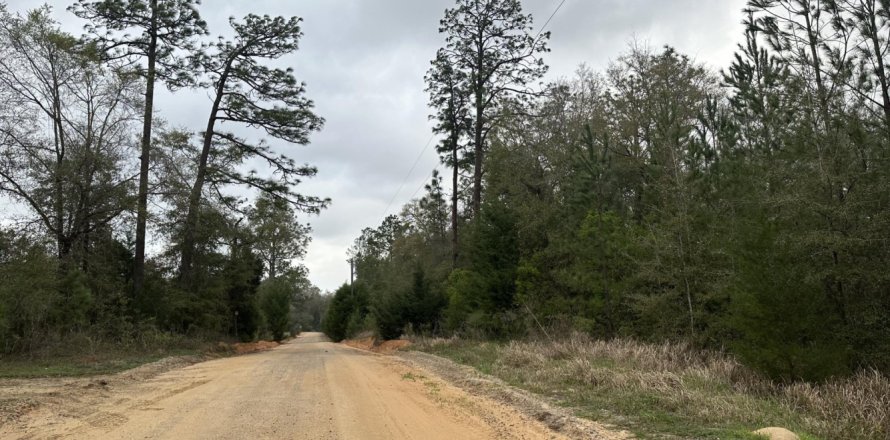 Land in Caryville, Florida № 589819