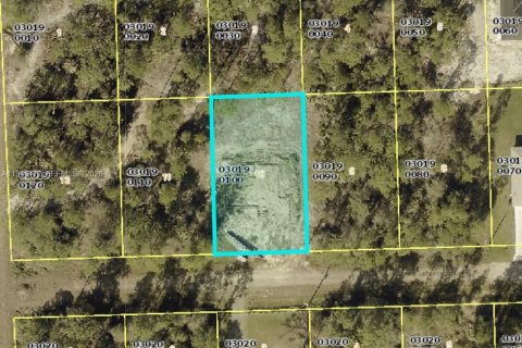 Terreno en Lehigh Acres, Florida № 2088938