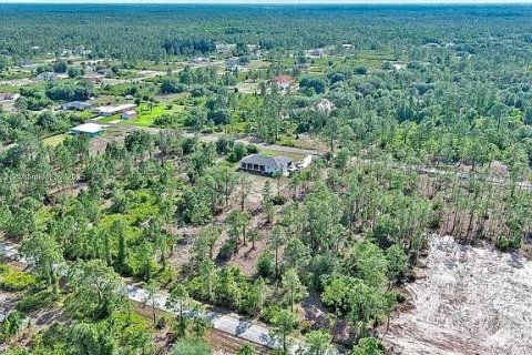 Land in Lehigh Acres, Florida № 2164333 - photo 12
