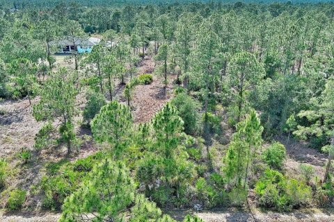 Land in Lehigh Acres, Florida № 2164333 - photo 3