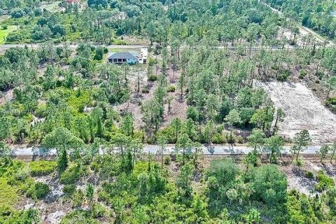 Land in Lehigh Acres, Florida № 2164333 - photo 10