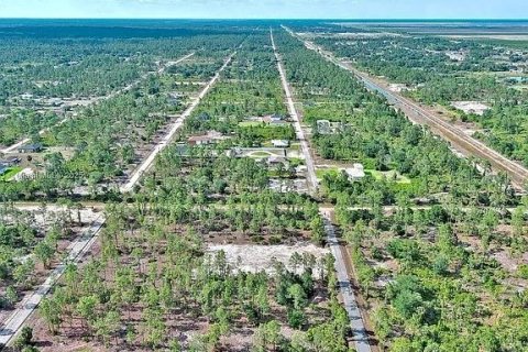 Land in Lehigh Acres, Florida № 2164333 - photo 14