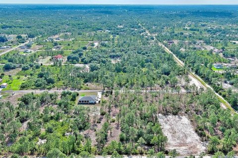 Land in Lehigh Acres, Florida № 2164333 - photo 13