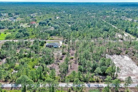 Land in Lehigh Acres, Florida № 2164333 - photo 11