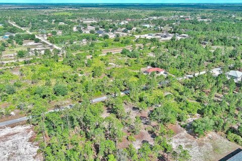 Land in Lehigh Acres, Florida № 2164333 - photo 16