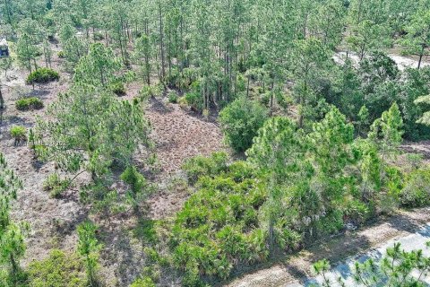 Land in Lehigh Acres, Florida № 2164333