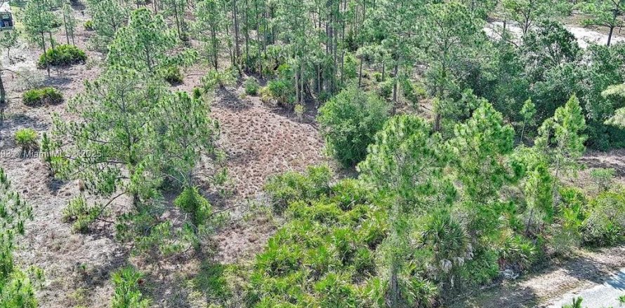 Land in Lehigh Acres, Florida № 2164333