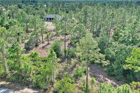 Land in Lehigh Acres, Florida № 2164333 - photo 4
