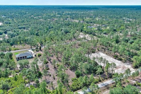 Land in Lehigh Acres, Florida № 2164333 - photo 9