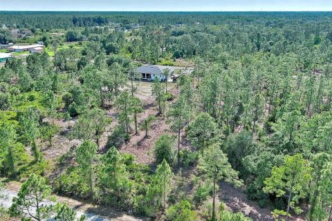 Land in Lehigh Acres, Florida № 2164333 - photo 5