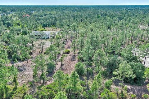Land in Lehigh Acres, Florida № 2164333 - photo 7