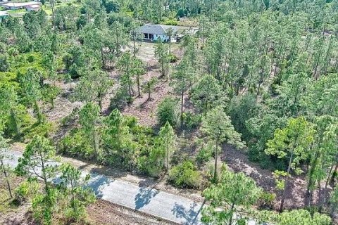 Land in Lehigh Acres, Florida № 2164333 - photo 6
