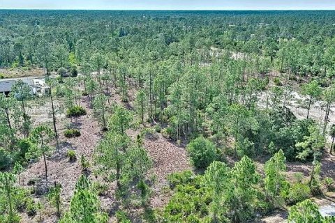 Land in Lehigh Acres, Florida № 2164333 - photo 8