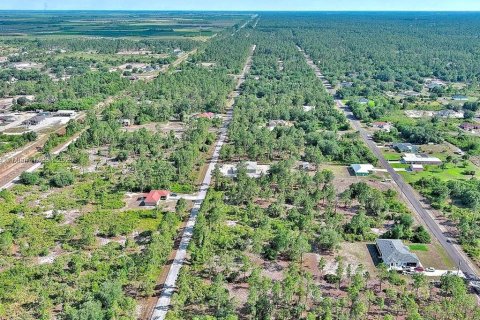 Land in Lehigh Acres, Florida № 2164333 - photo 15