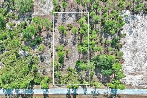 Land in Lehigh Acres, Florida № 2164333 - photo 2