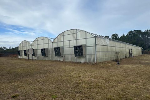Immobilier commercial à louer à Hawthorne, Floride № 2104343 - photo 3