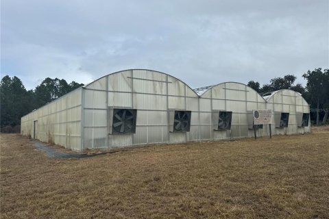 Immobilier commercial à louer à Hawthorne, Floride № 2104343 - photo 4