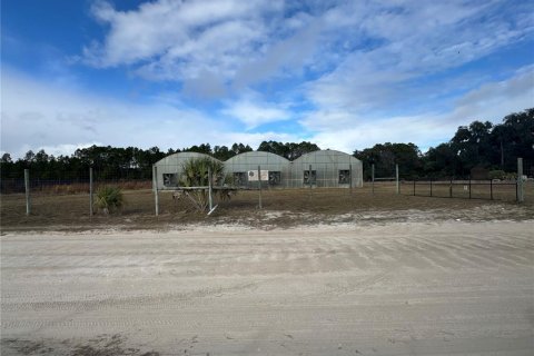 Immobilier commercial à louer à Hawthorne, Floride № 2104343 - photo 11