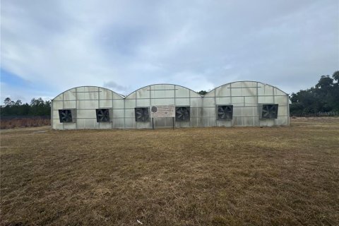 Immobilier commercial à Hawthorne, Floride № 2104343