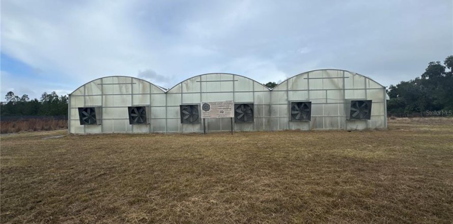 Immobilier commercial à Hawthorne, Floride № 2104343