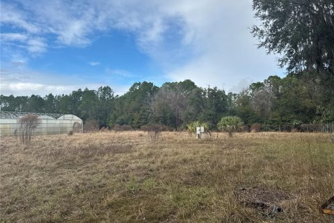Immobilier commercial à louer à Hawthorne, Floride № 2104343 - photo 7