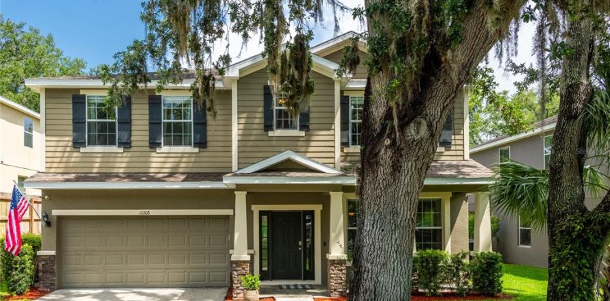 House in Riverview, Florida 4 bedrooms, 254.27 sq.m. № 1765600