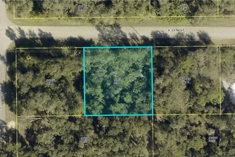 Land in Lehigh Acres, Florida № 2159653 - photo 2