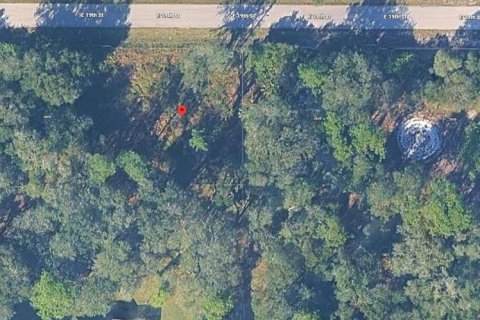 Land in Lehigh Acres, Florida № 2159653