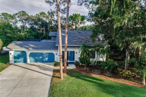 Villa ou maison à vendre à Palm Harbor, Floride: 4 chambres, 191.38 m2 № 1905704 - photo 1
