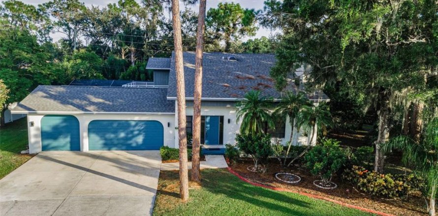 Villa ou maison à Palm Harbor, Floride 4 chambres, 191.38 m2 № 1905704